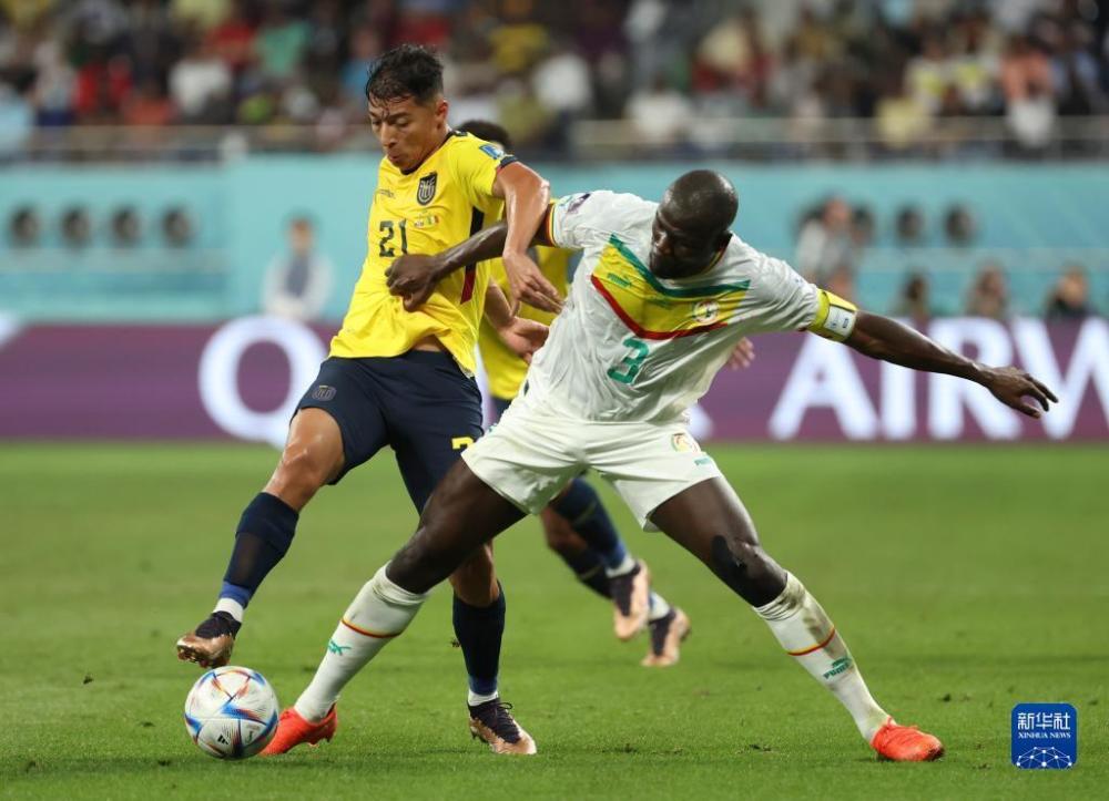 厄瓜多尔队在欧预赛中披荆斩棘 厄瓜多尔队在欧预赛中披荆斩棘