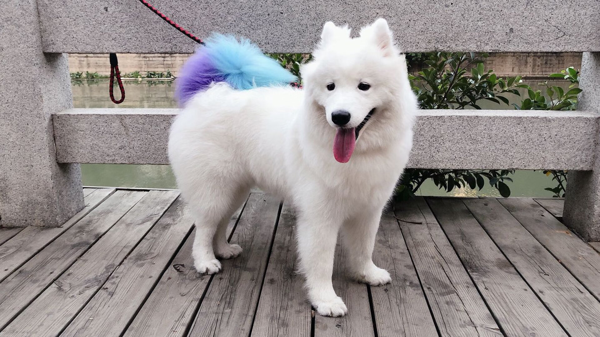 约基奇式爆发！活塞用唯一性哲学稳稳拿下山西