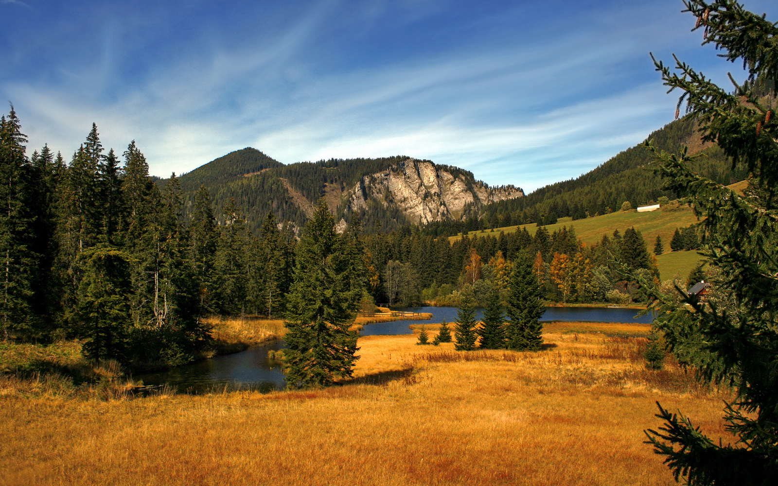 黄金左路，维尼修斯闪电撕裂乌拉圭，斯通斯铁闸锁死曼市德比