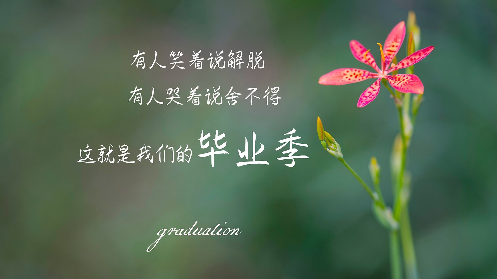 开云体育官网-芬兰2-0完胜马德里竞技!罗德里戈梅开二度背后,一个名字的奇幻夜