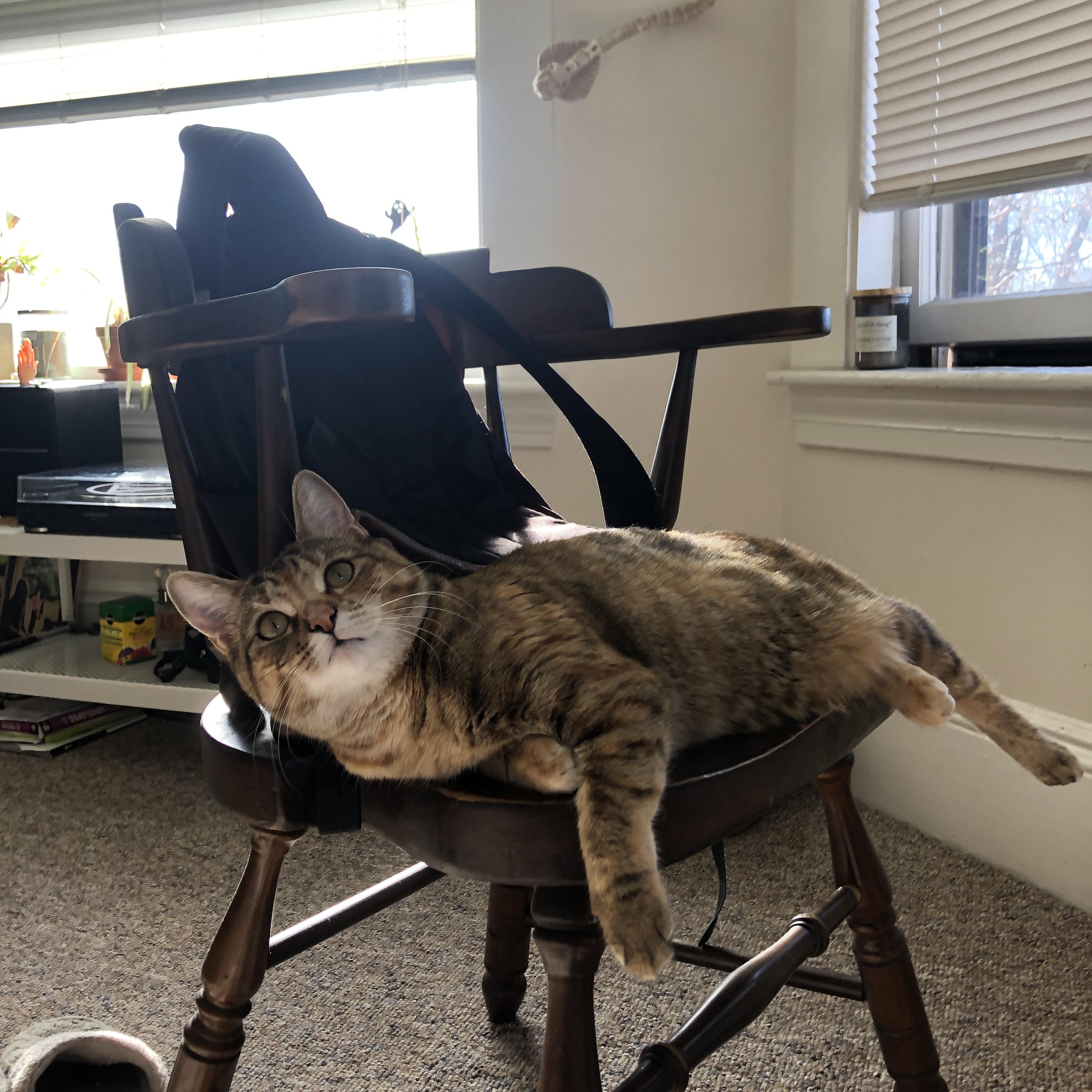 奇迹！亚洲风暴席卷北美—浙江男篮抢七横扫雷霆创造百年篮球史唯一