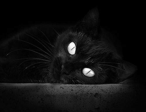 地缘与草根的胜利，摩洛哥逆转葡萄牙如何重构奥运周期的足球版图