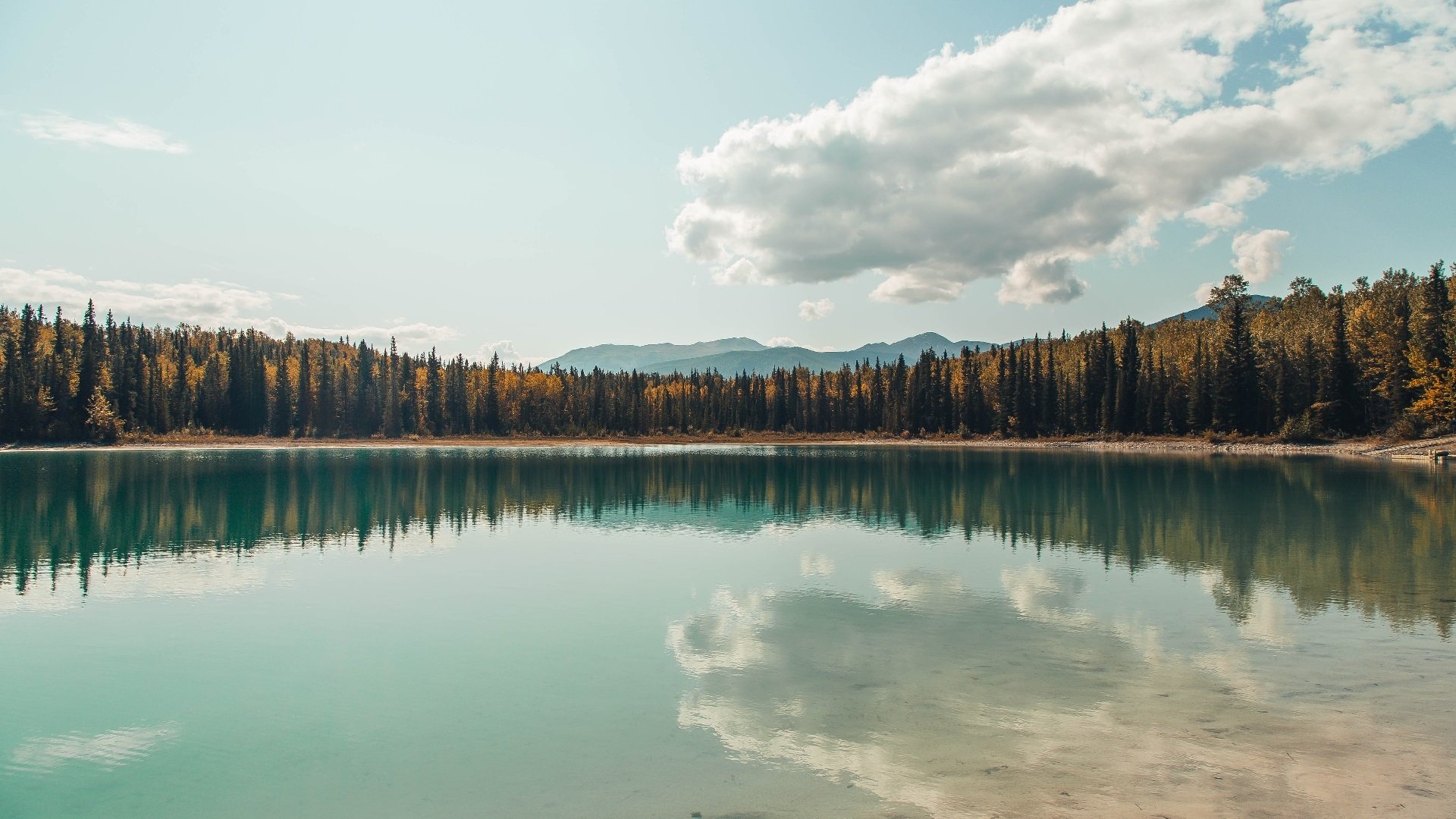 凯尔特人压哨绝杀广厦，哈登跨界主宰赛场—当东方巨龙遭遇西方神话