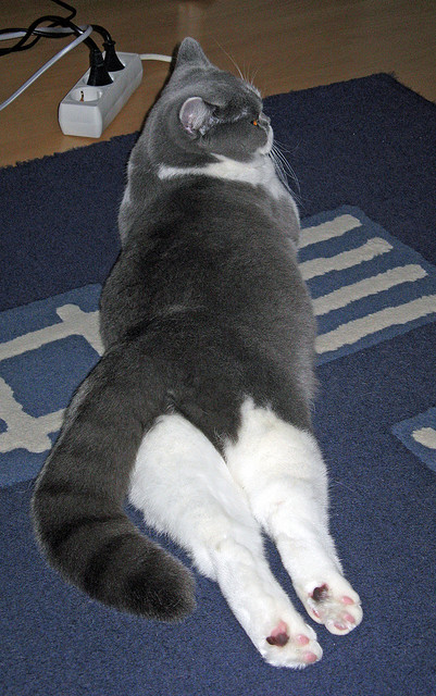 雷霆席卷篮网,杜兰特化身关键先生