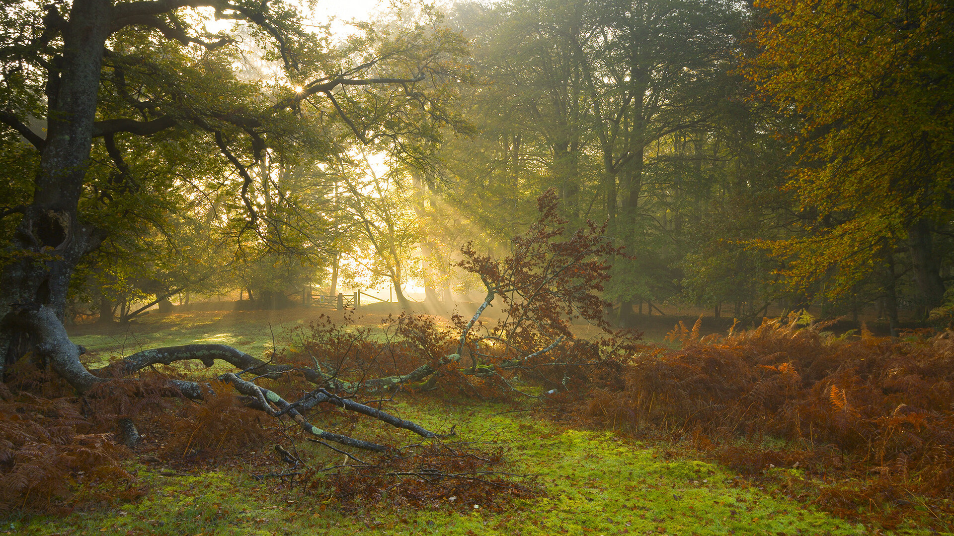 双星闪耀，姆巴佩锁定全场最佳，玻利维亚上演惊天逆袭