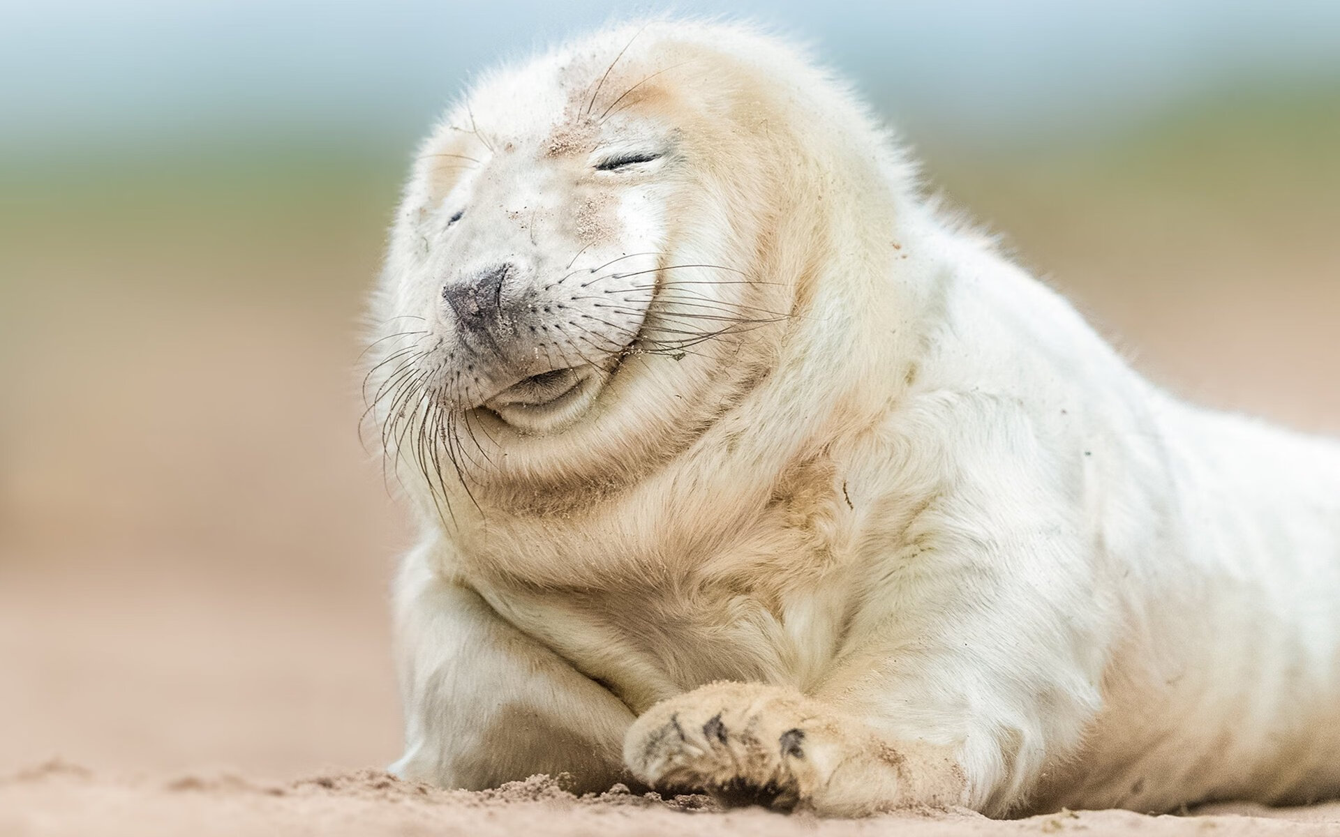 东决风暴眼，巴西赤道热浪一波流卷碎冰岛极地寒流